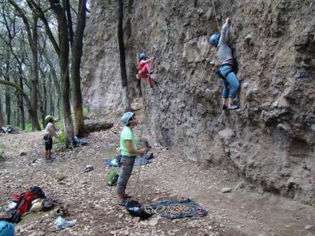 Instructoternera especializados